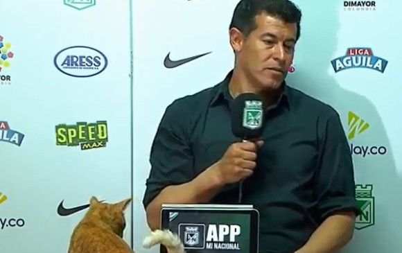 Este es el momento en el que el gato se sube a la mesa donde el técnico Jorge Almirón daba la conferencia de prensa. FOTO TOMADA DE VIDEO YOUTUBE