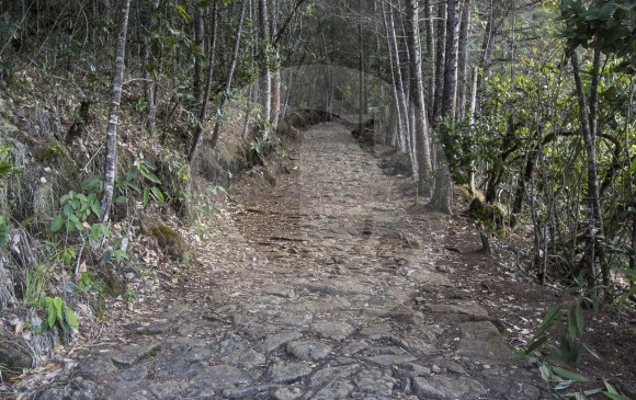 Las rocas fueron talladas para usarse en el camino. Foto: Manuel Saldarriaga Quintero
