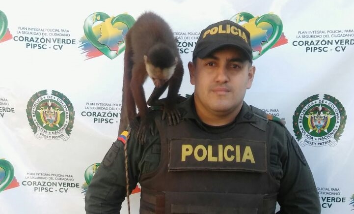 FOTO CORTESÍA POLICÍA