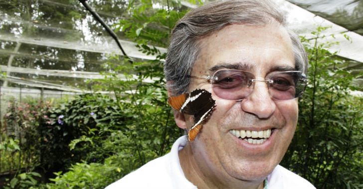 La mariposa ‘come coca’ existe una real posibilidad de erradicar los cultivos ilícitos sin afectar la salud de los colombianos. FOTO COLPRENSA