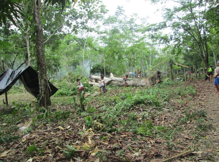 Desde el pasado fin de semana, un grupo de habitantes de Capurganá, Chocó, están invadiendo algunos de lotes privados de este corregimiento. FOTO CORTESÍA