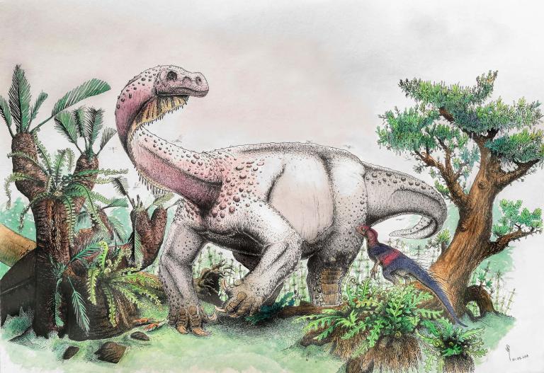Otro dinosaurio, el Ledumahadi mafube, en el Jurásico Temprano. Foto: University of the Witwatersrand