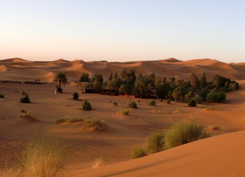 El Sahara pdoría reverdecer, como este oasis en Mhamid El Ghezlane, Marruecos. Foto A. Sady