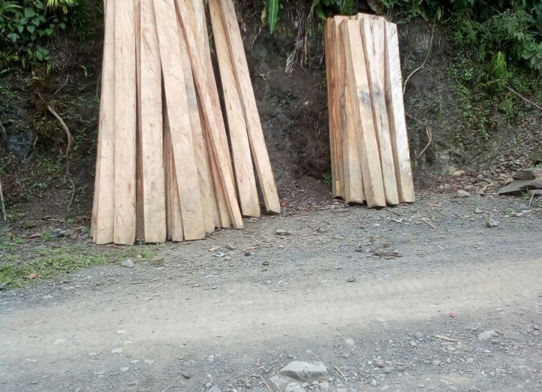 La madera también se estaría comercializando de manera ilegal. FOTO: CORTESÍA