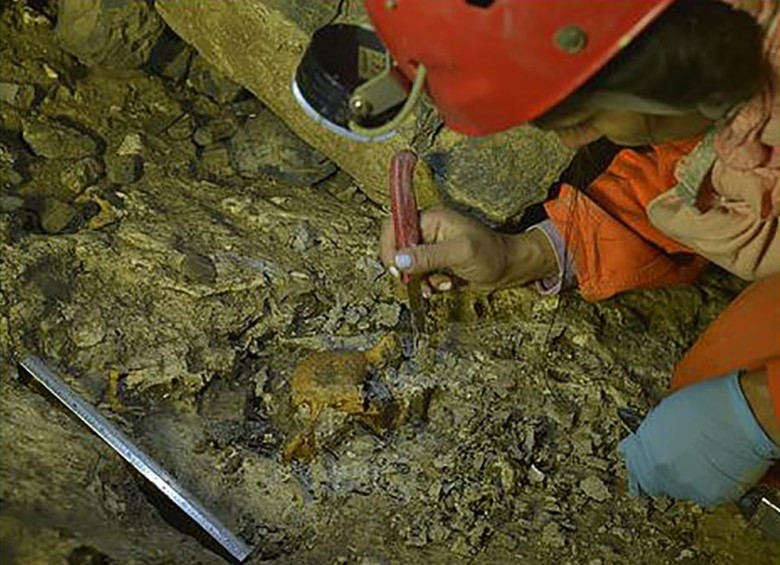 Cementerio fósil de 5 millones de años fue descubierto en Santander