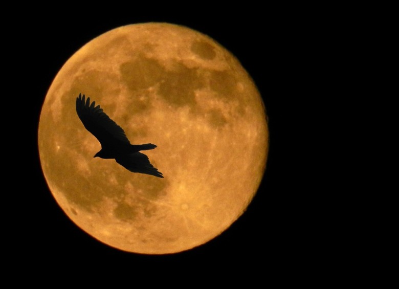 Será la sueprluna más grande del año.Foto Pixabay