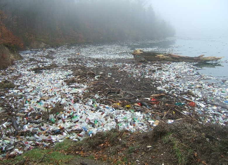 El plástico contamina playas y océanos, como en el Pacífico. Foto Pixabay
