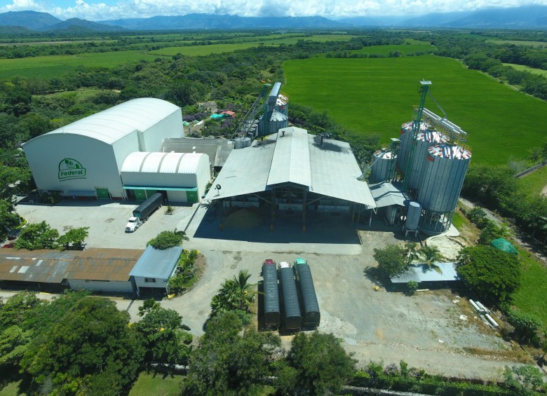 La empresa antioqueña Federal comercializa anualmente 64 mil toneladas de arroz producido en el Tolima. FOTO: Cortesía Arroz Federal.