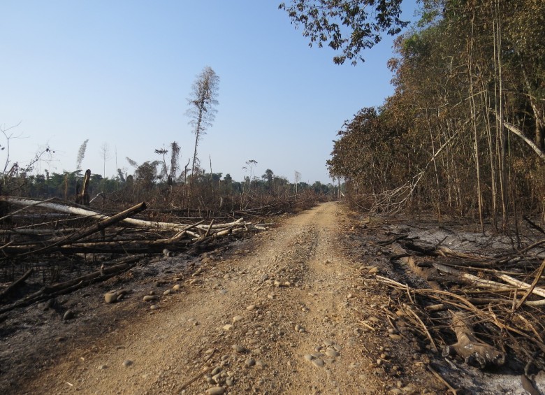 Parque Nacional Tinigua, uno de los lugares más deforestados del país. Foto: Cortesía