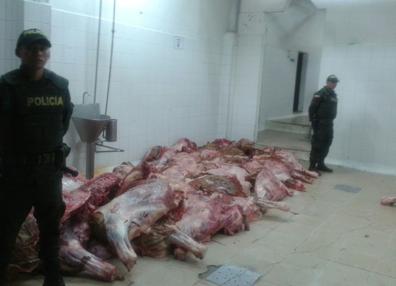 La Policía Fiscal y Aduanera incautó este sábado en la zona fronteriza con Venezuela más de dos toneladas de carne bovina transportadas hacia Colombia ilegalmente en paupérrimas condiciones de salubridad, avaluadas en más de 42 millones de pesos. FOTO COLPRENSA