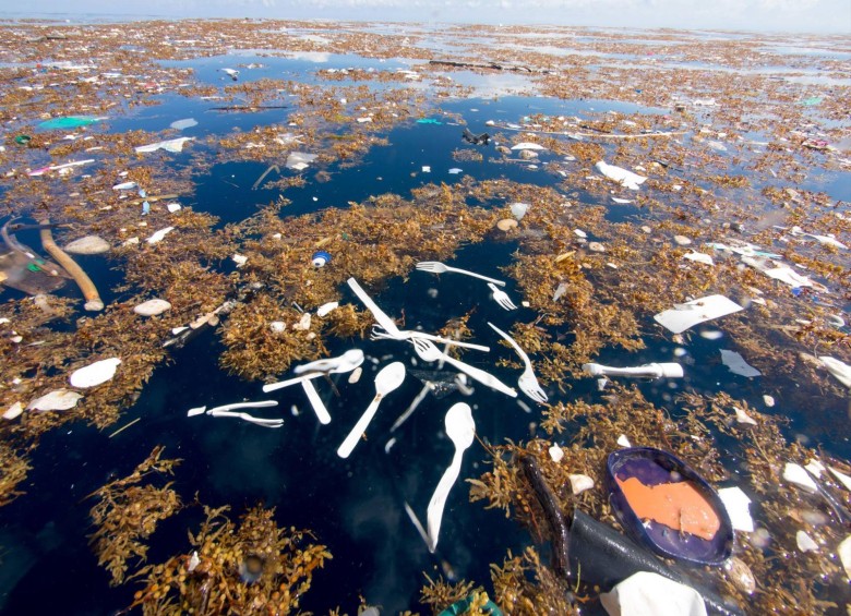 Islas de basura, grave fenómeno que la humanidad hizo común