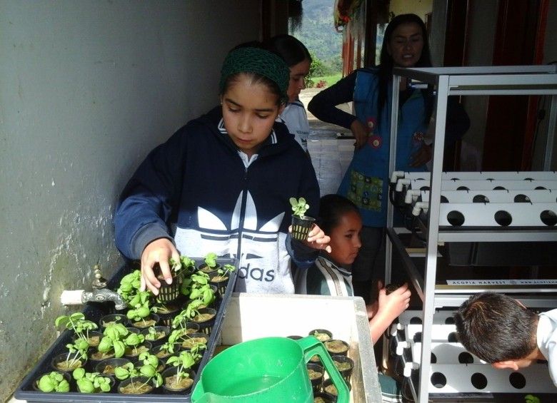 Los niños y jóvenes de la IE Cañaveral Abajo, de Angostura (Norte de Antioquia), han cambiado su mentalidad a partir de su participación en el Proyecto Retoño. FOTO cortesía iba global