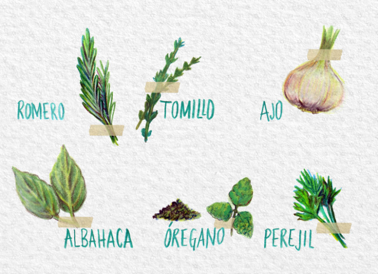 La albahaca, el orégano, el perejil, el romero, el tomillo, el ajo, son fundamentales en la culinaria italiana. ILUSTRACIÓN: DON REPOLLO 