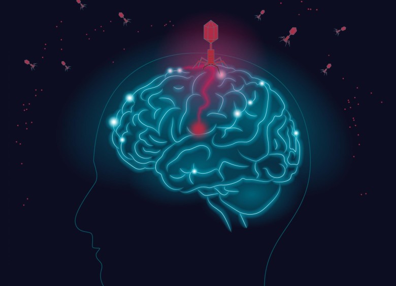 Las cepas del virus del herpes humano se encuentran en los cerebros con alzhéimer en niveles hasta dos veces más altos que en personas sanas. FOTO: Shireen Dooling para el Biodesign Institute at Arizona State University