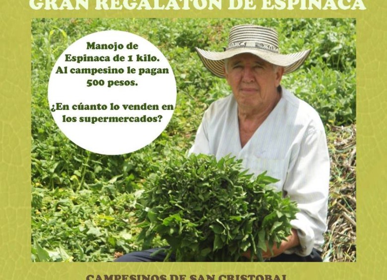 Campesinos de San Cristóbal protestarán regalando cilantro