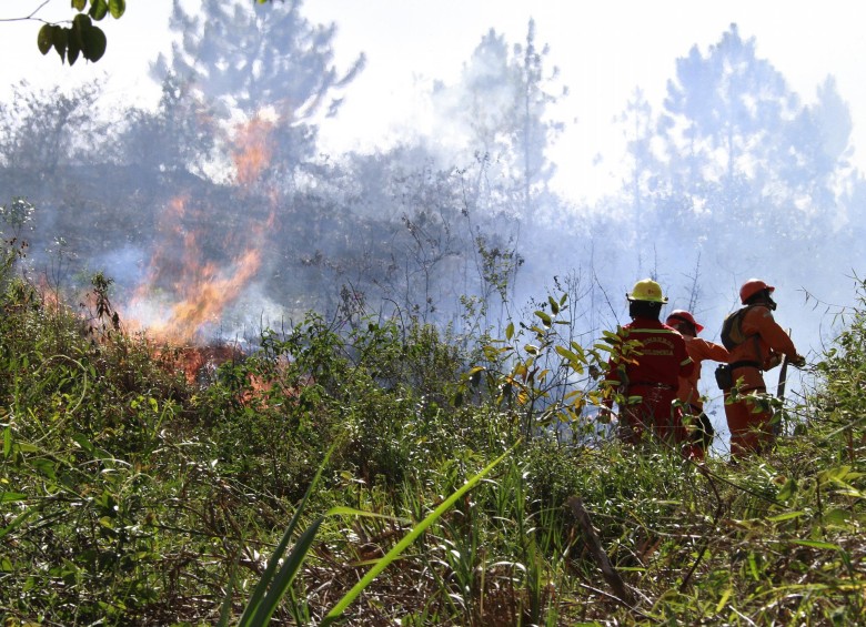 El 97% de los incendios forestales son producidos intencionalmente, según Cornare y son una amenaza. FOTO róbinson sáenz