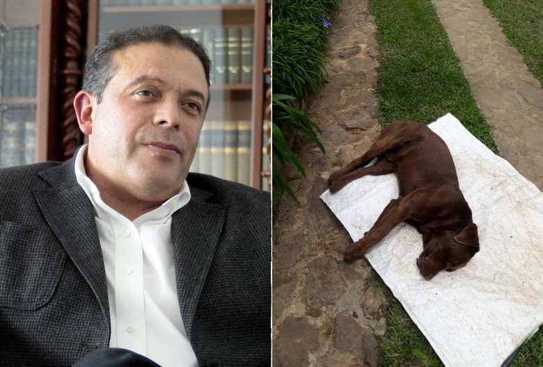 Su perro Bruno fue encontrado muerto en la casa del concejal Bernardo Alejandro Guerra. FOTO JULIO CÉSAR HERRERA Y BERNARDO