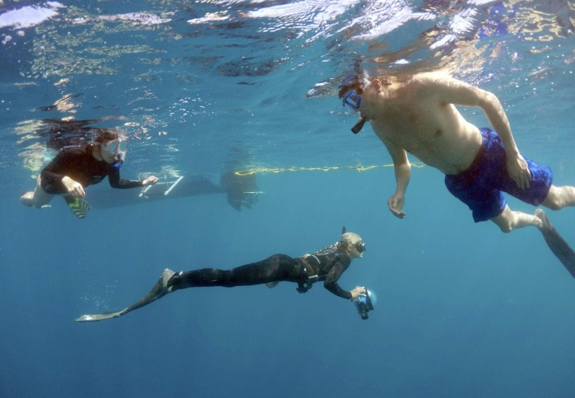 El buceo con tiburones se está convirtiendo cada vez en una actividad más popular. FOTO REUTERS
