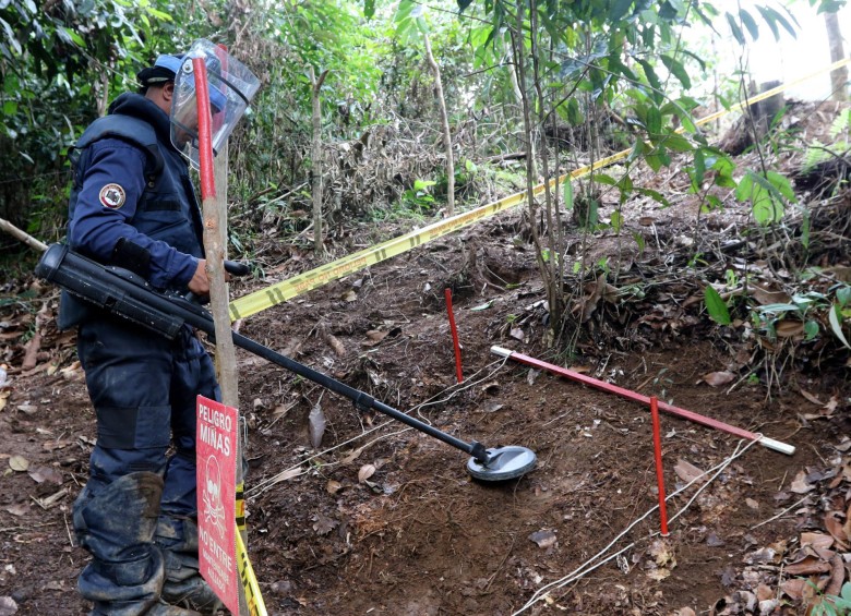 Las minas antipersonal siguen sembrándose por grupos armados ilegales en el país. Grupos especializados tratan de desactivarlas. FOTO: Colprensa