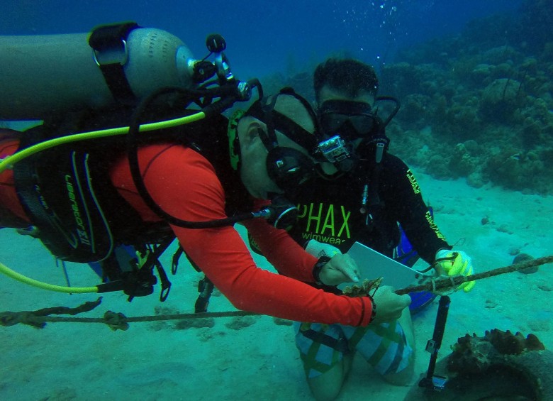 San Andrés siembra corales para restaurar sus arrecifes