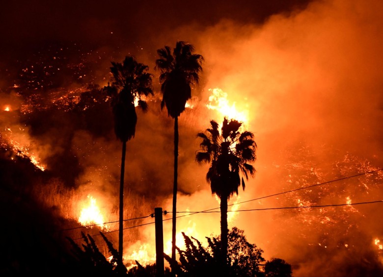Los “Vientos de Santa Ana”, propios de esta temporada del año, están obligando a bomberos a intentar “adelantarse” a su avance. FOTO REUTERS
