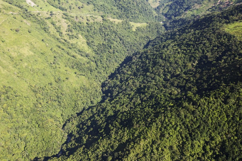 Algunos cañones se afectan por la deforestación, otros conservan bosques primarios y secundarios. Foto: Esteban Vanegas