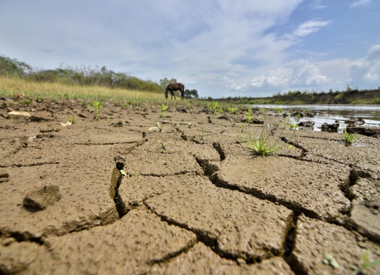  La tendencia al cambio climático está alcanzando nuevas escalas, intensificadas por el fuerte fenómeno de El Niño. FOTO Colprensa