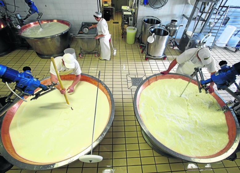 Se estima que la elaboración de queso parmesano implica una maduración durante dos años. FOTO cortesía agronegocios