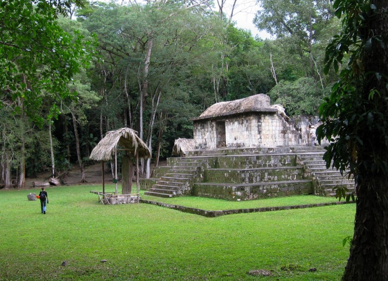 Ashley Sharpe en el sitio de Ceibal en Guatemala, uno de los sitios mayas más antiguos. Foto: Ashley Sharpe | Smithsonian Tropical Research Institute