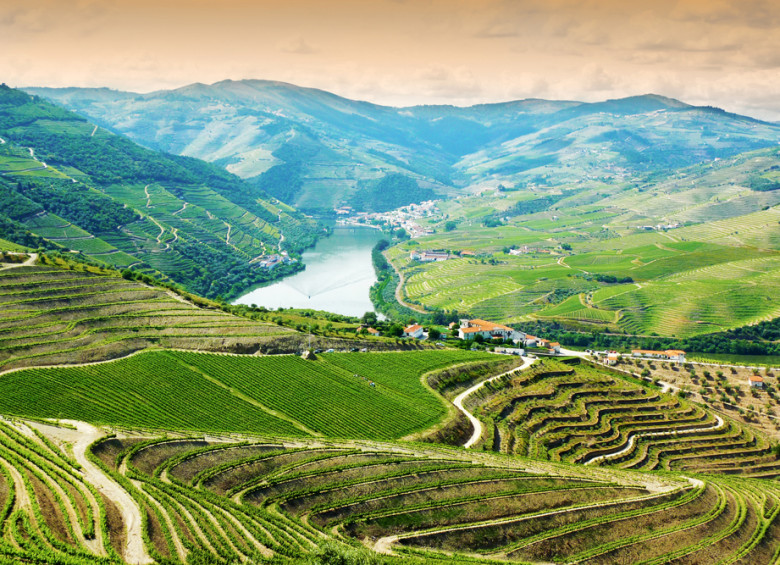 En el Valle del Duero se cultiva el vino de Oporto, el más antiguo representante de Portugal. Aquí también nacen los vinos de mesa del Douro que en las últimas décadas han ganado proyección internacional. Foto: Shutterstock