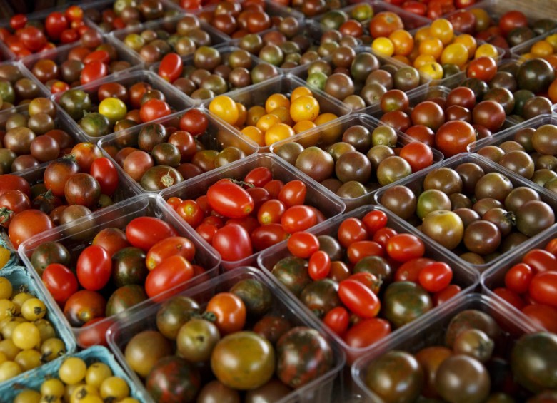 Enfriar los tomates a menos de 12 grados C (54 F) puede frenar la creación de sustancias que le aportan sabor, de acuerdo con investigadores que excavaron en las raíces genéticas del problema. FOTO AP