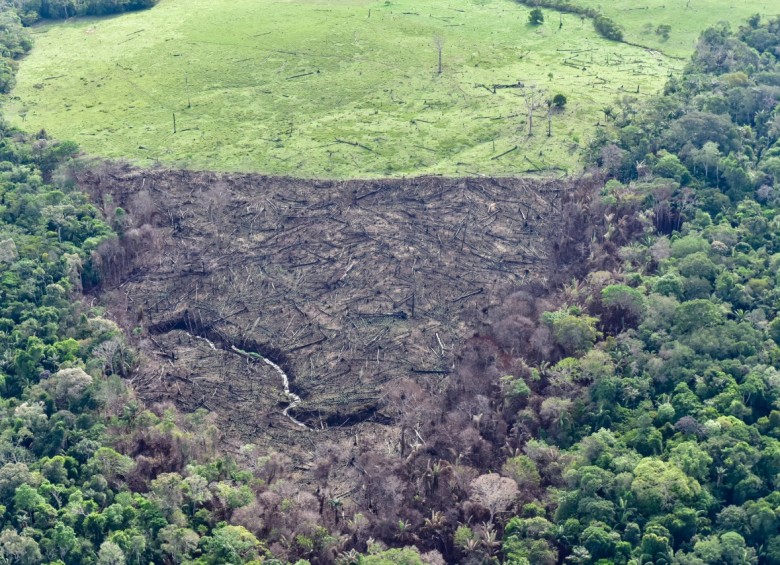 La deforestación se incrementó 23 % durante 2017. FOTO Cortesía Ministerio de Ambiente