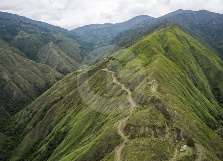 Montañas de Antioquia en la antigua vía que conectaba a Medellín con Urabá. Esta es la zona en la que se construirá el túnel de El Toyo, entre los municipios de Giraldo y Cañas Gordas. Foto: Esteban Vanegas