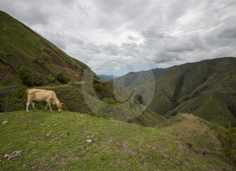 El Túnel del Toyo penetra las montañas del occidente de Antioquia y se integra con concesiones Mar 1 y Mar 2, de Autopistas de la Prosperidad. Conectará con puertos en Urabá. FOTO Esteban Vanegas