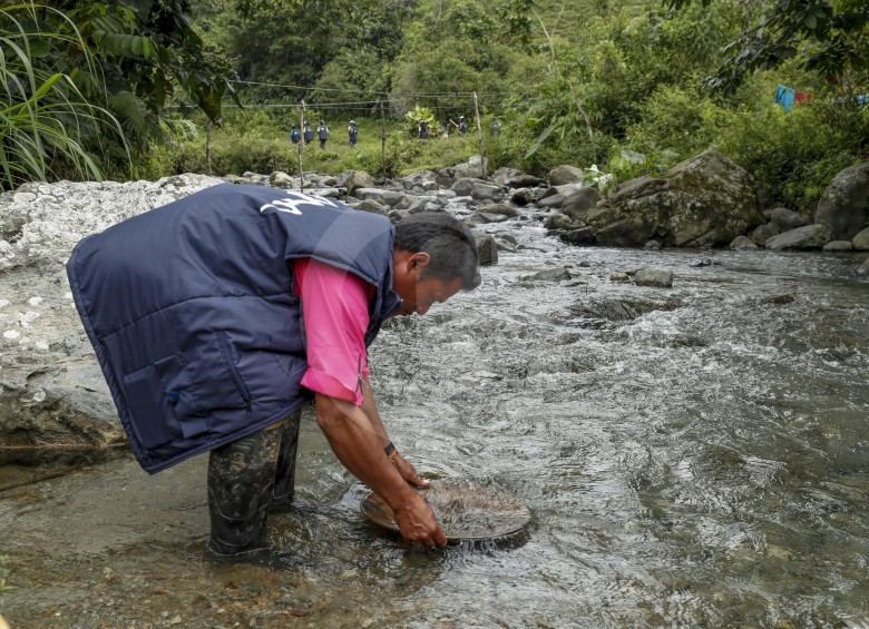 Los embera de Murrí llevan décadas viviendo del oro que logran rescatar de las aguas de sus ríos.