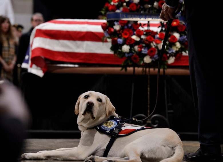Sully, al lado de la tumba de Georg H. W. Bush durante un homenaje el lunes 3 de diciembre. FOTO: AFP