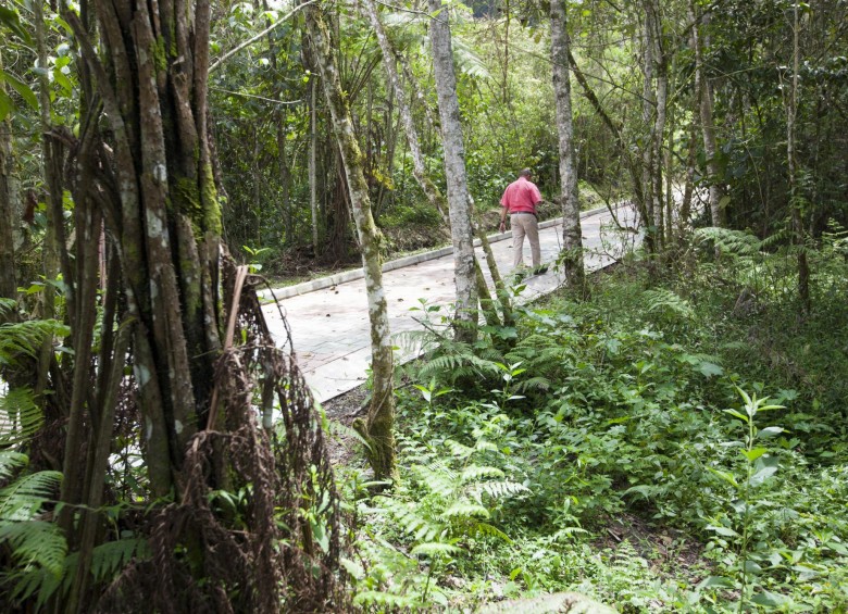 Con este sendero, los caminantes ganan seguridad y comodidad para disfrutar los paisajes de La Romera. FOTO edwin bustamante