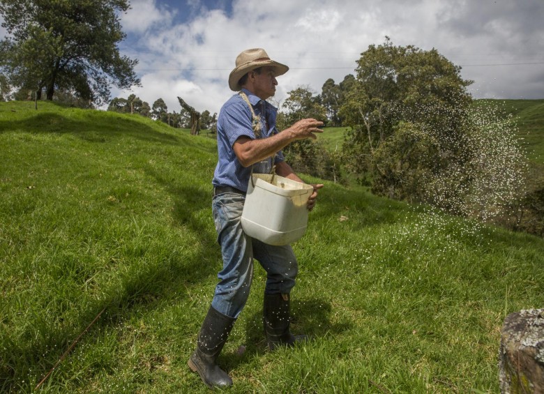 El lechero Gustavo Elías Mazo comienza las labores en el campo a primera hora de la mañana. Foto: Edwin Bustamante