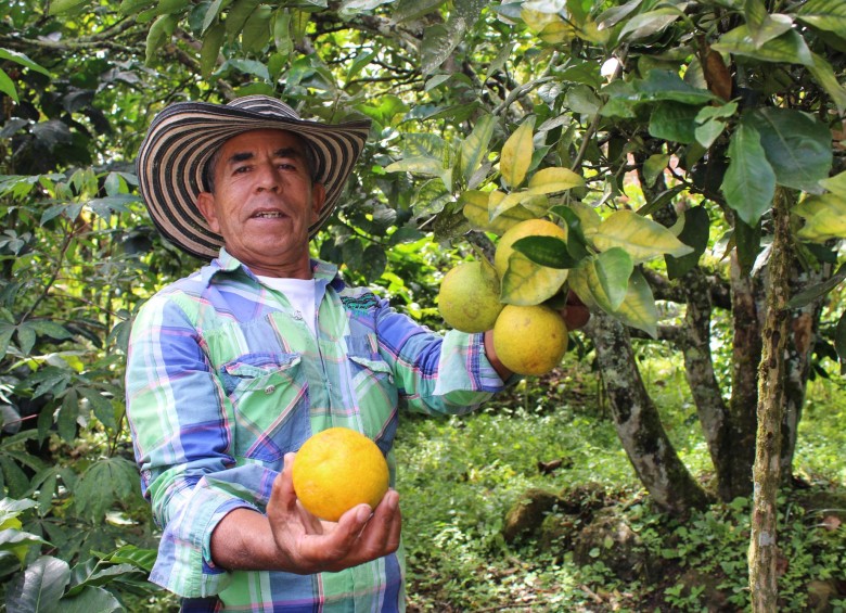 Microempresas de Colombia centra sus operaciones en las zonas rurales de Antioquia, Caldas, Córdoba y Chocó. Foto: Cortesía Microempresas de Colombia.