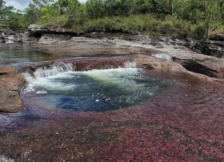 Caño Cristales estará cerrada en esta temporada vacacional. FOTO: Colprensa