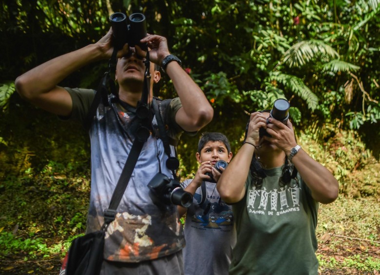 El observador de aves más joven es colombiano