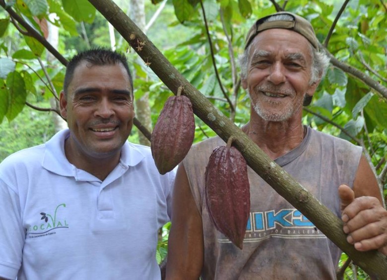 Los cacaoteros de Chocolate Colombia FOTOs Jaime Pérez y cortesía