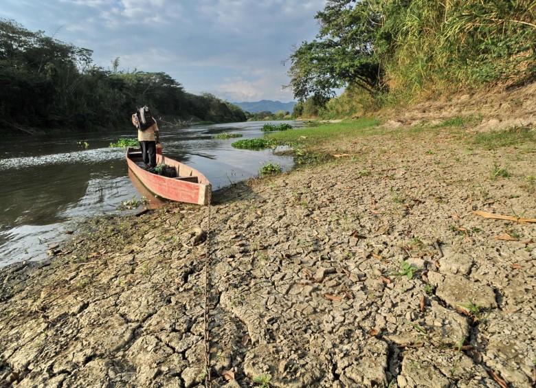 A lo largo del recorrido por Cauca, Valle y Risaralda, se evidencia que la intensa sequía de los últimos meses está acabando con la riqueza natural del río Caúca. FOTOs Colprensa