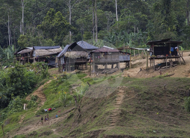 En el Alto Baudó (foto), las comunidades indígenas rechazan la presencia de los distintos grupos armados que los confinan o desplazan generando la emergencia humanitaria. FOTO donaldo zuluaga