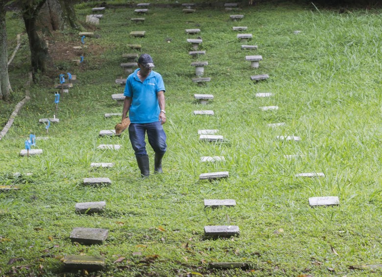 Zona donde están los restos sin identificar en el Cemenerio Universal FOTO: DONALDO ZULUAGA