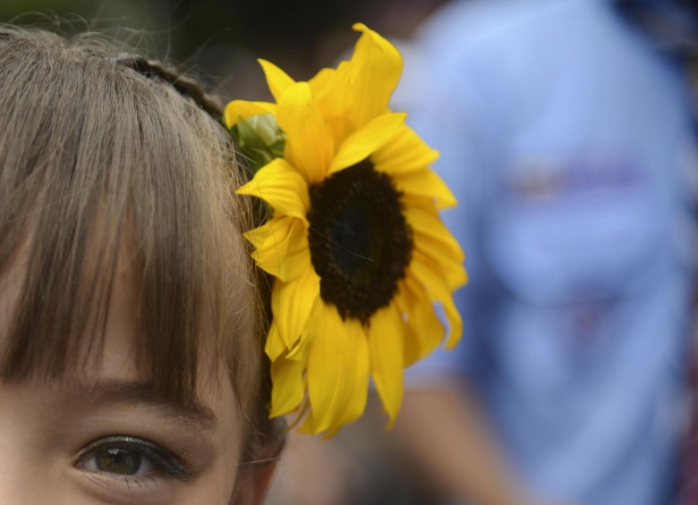 “Son niños que ayudaron a coger las flores en sus fincas y elaboraron junto a sus padres las silletas”, contó Julieth Estela Ríos, miembro de la Corporación de Silleteros de Santa Elena. FOTO AFP