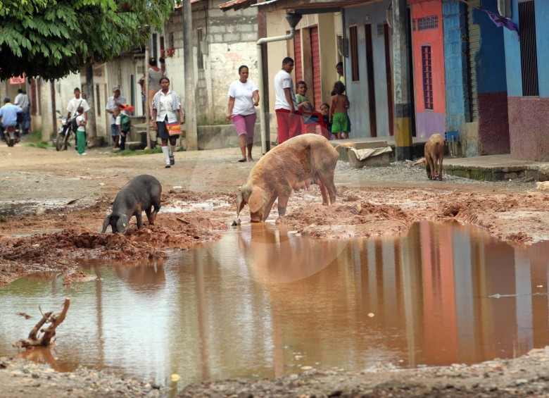 Nechí es uno de los municipios más pobres de Antioquia y el de mayor déficit, de los del Bajo Cauca, en el gasto de funcionamiento. También está en riesgo de incumplir la Ley 617. Foto: Jaime Pérez