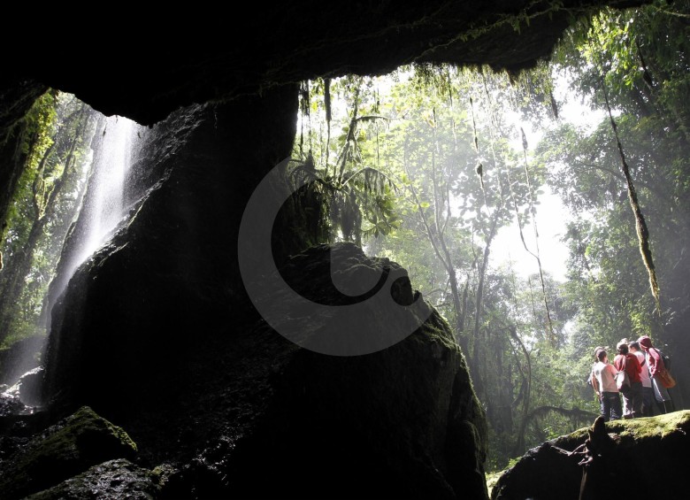 La cueva del Esplendor está ubicada en la vereda La Linda, a unos 10 kilómetros del casco urbano de Jardín. A partir de ahora solo se podrá llegar allí en caminatas guiadas. FOTO DONALDO ZULUAGA