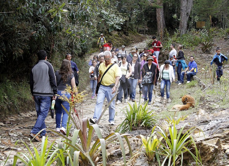 8 % representa el turismo natural en el total de la actividad internacional, según la OIT. En la imagen las caminatas del Parque Arví. FOTO Archivo Donaldo Zuluaga