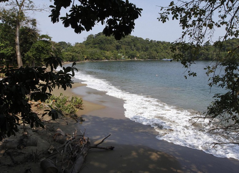 Una Bahía al pie de la selva chocoanaSan Francisco y Triganá son dos playas vecinas sobre un mar Caribe tranquilo en el Urabá chocoano.